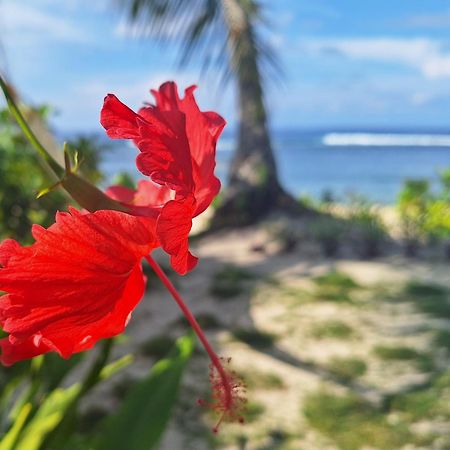 Bamboo Surf Beach San Isidro  Ngoại thất bức ảnh