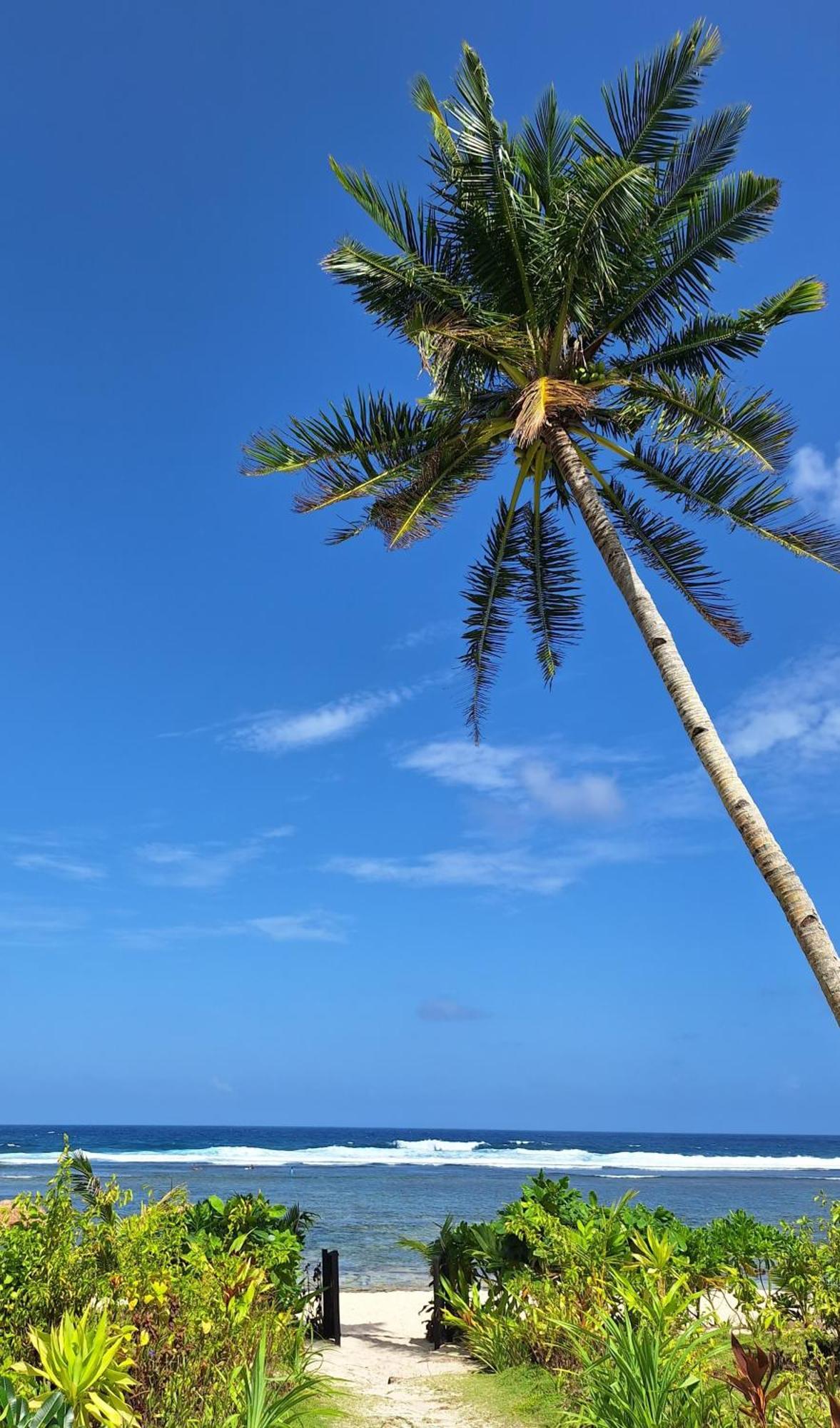 Bamboo Surf Beach San Isidro  Ngoại thất bức ảnh