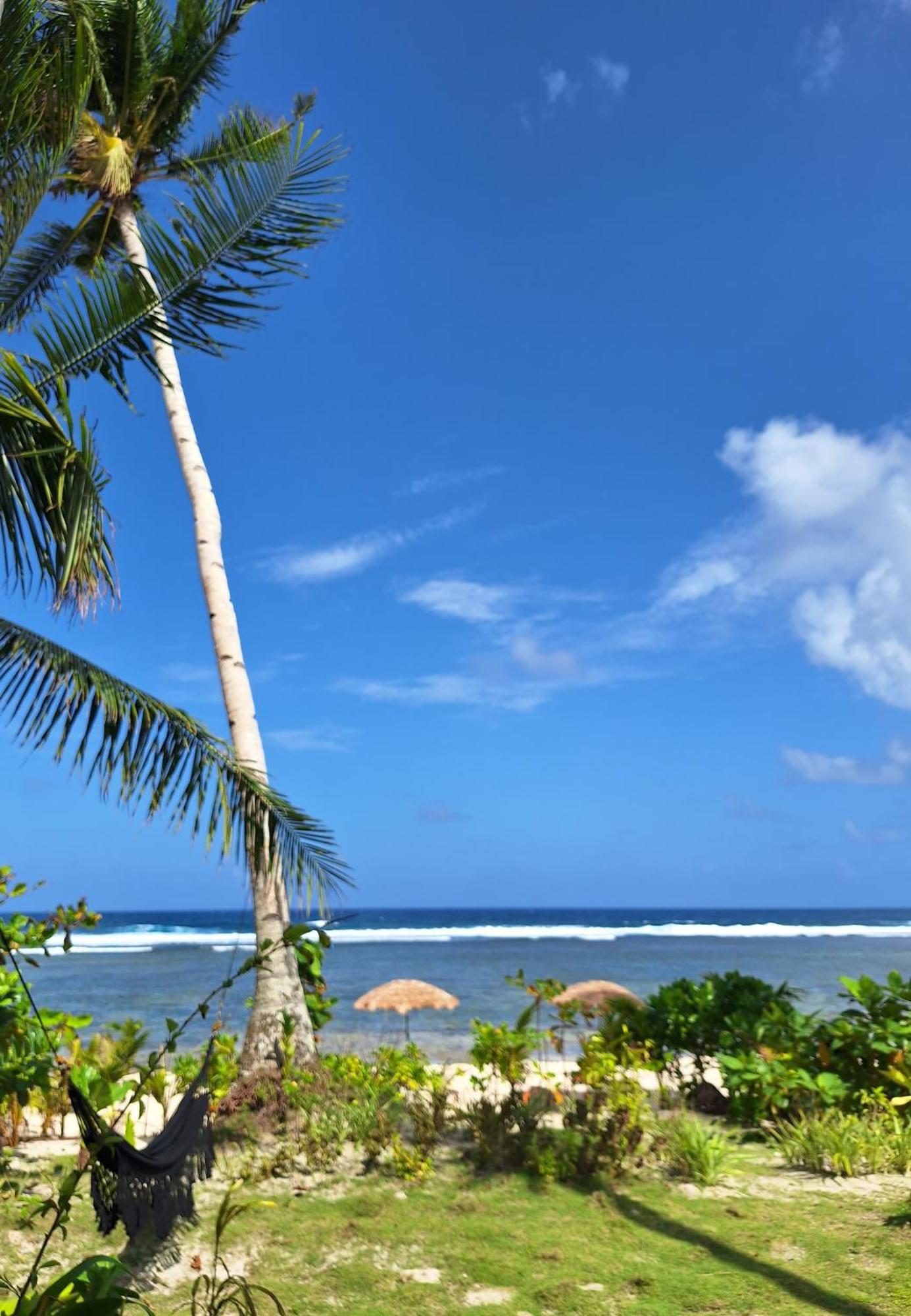 Bamboo Surf Beach San Isidro  Ngoại thất bức ảnh