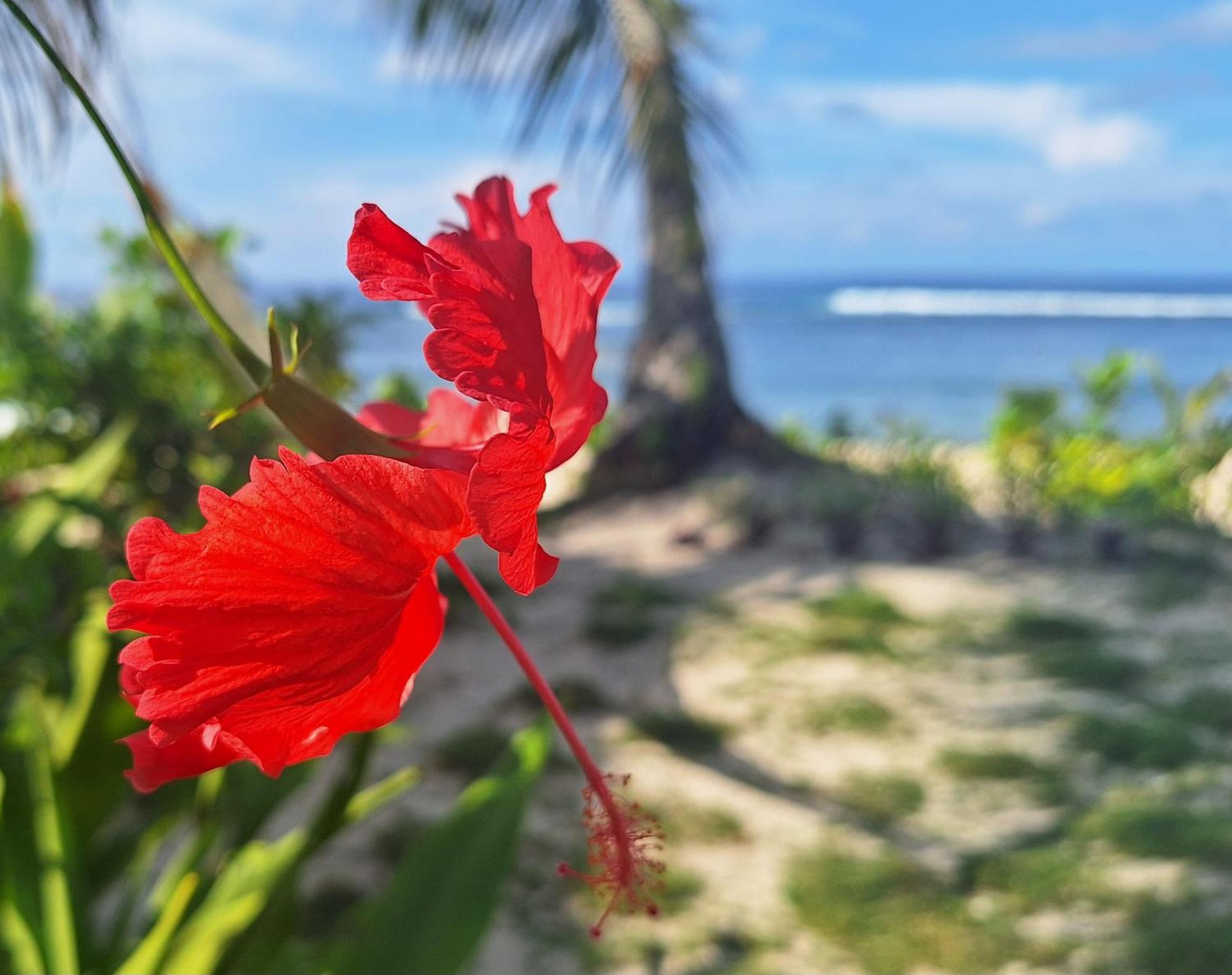 Bamboo Surf Beach San Isidro  Ngoại thất bức ảnh